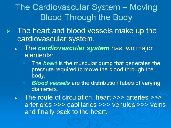 The Cardiovascular System – Moving Blood Through the Body The heart and blood vessels