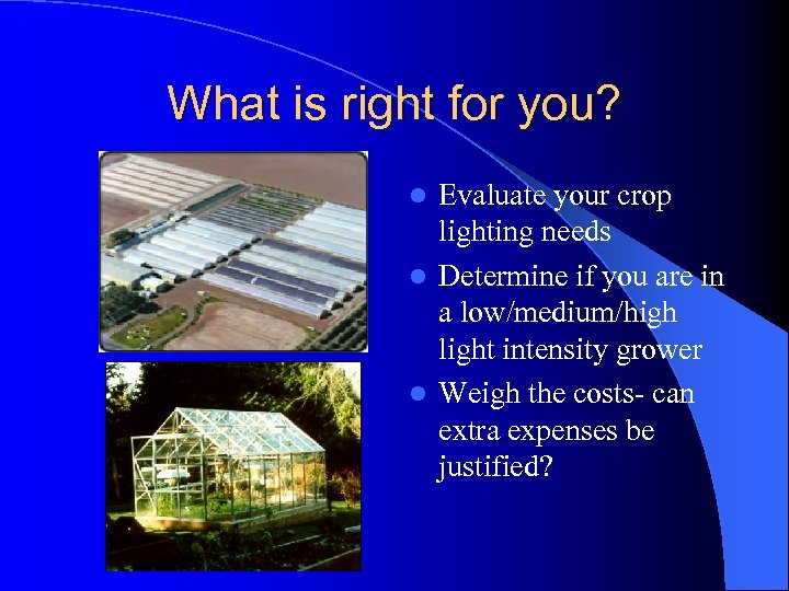 What is right for you? Evaluate your crop lighting needs l Determine if you