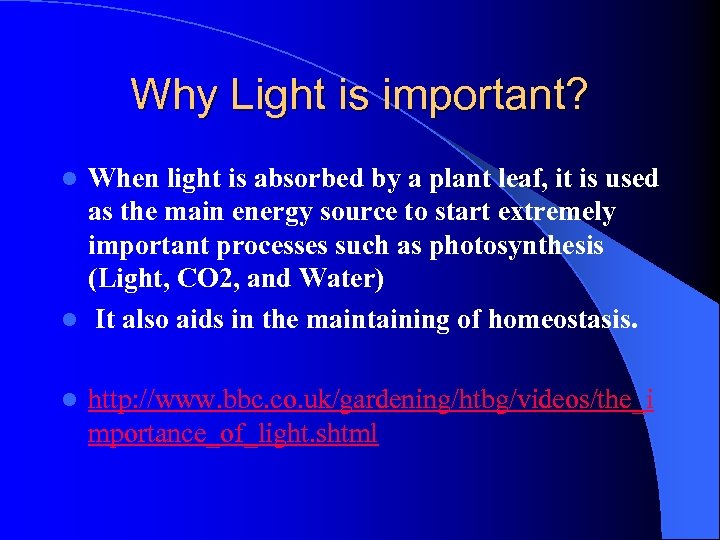 Why Light is important? When light is absorbed by a plant leaf, it is