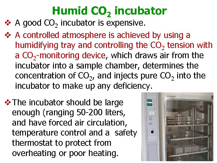 Humid CO 2 incubator v A good CO 2 incubator is expensive. v A