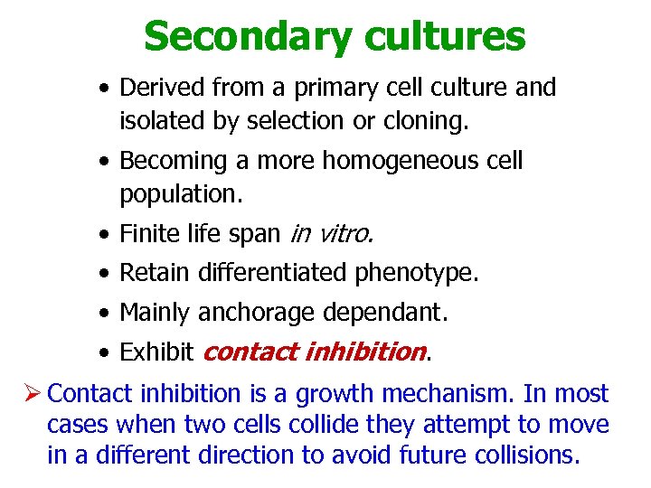 Secondary cultures • Derived from a primary cell culture and isolated by selection or