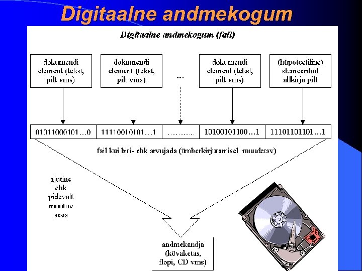 Digitaalne andmekogum 