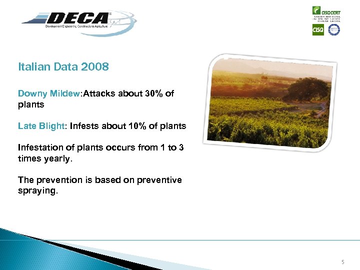 Italian Data 2008 Downy Mildew: Attacks about 30% of plants Late Blight: Infests about