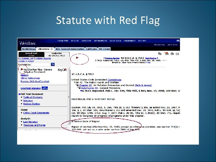 Statute with Red Flag 