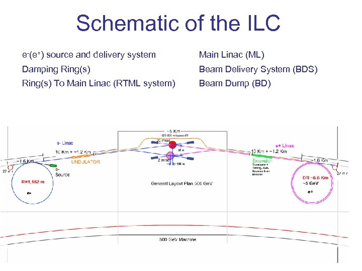 Schematic of the ILC e-(e+) source and delivery system Main Linac (ML) Damping Ring(s)