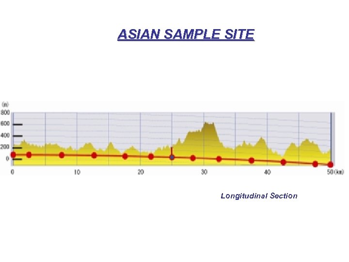 ASIAN SAMPLE SITE Longitudinal Section 