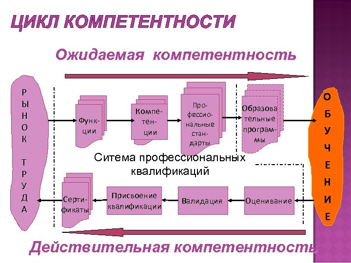 ЦИКЛ КОМПЕТЕНТНОСТИ Ожидаемая компетентность Р Ы Н О К Т Р У Д А