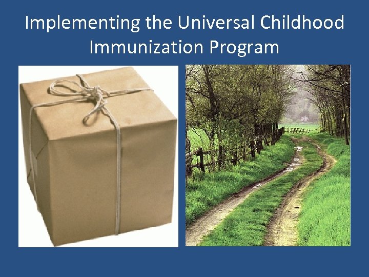 Implementing the Universal Childhood Immunization Program 