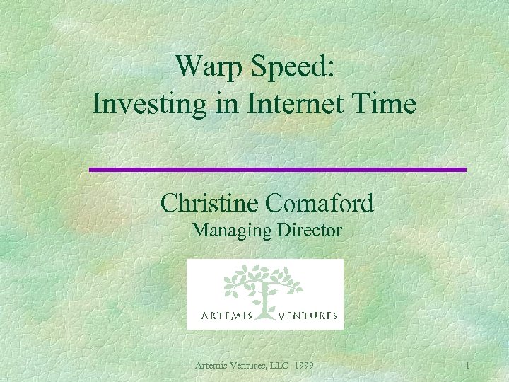 Warp Speed: Investing in Internet Time Christine Comaford Managing Director Artemis Ventures, LLC 1999