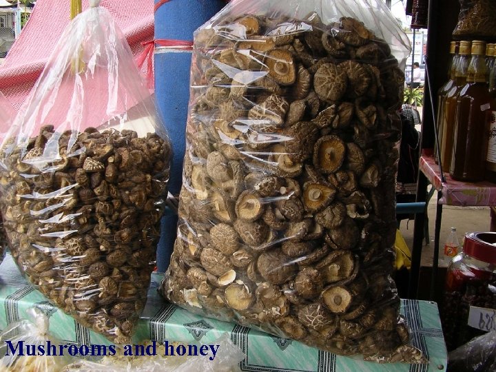 Mushrooms and honey 