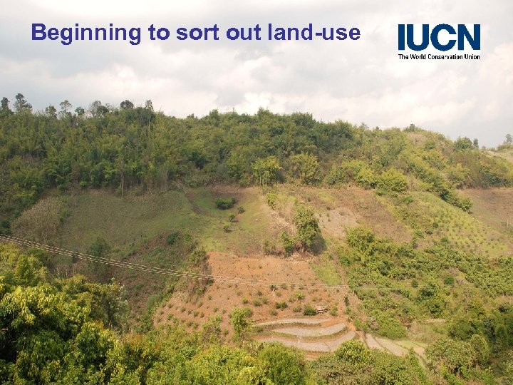 Beginning to sort out land-use 