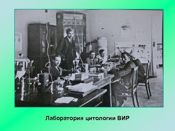 Лаборатория цитологии ВИР 