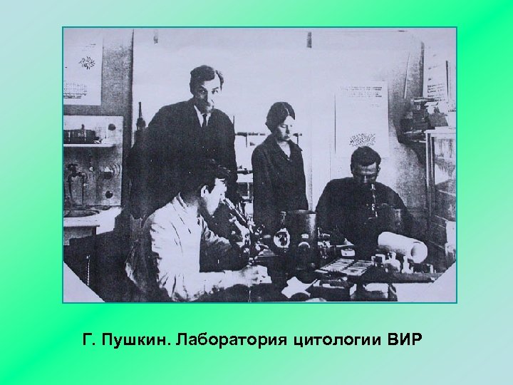 Г. Пушкин. Лаборатория цитологии ВИР 