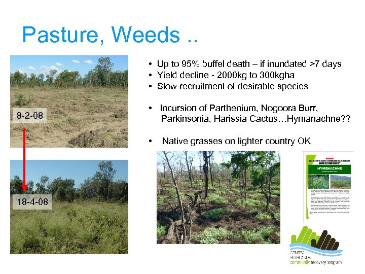 Pasture, Weeds. . • Up to 95% buffel death – if inundated >7 days