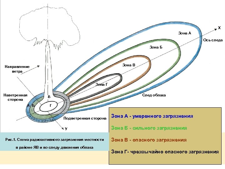 Схема радиоактивного заражения местности в районе взрыва и по следу движения облака