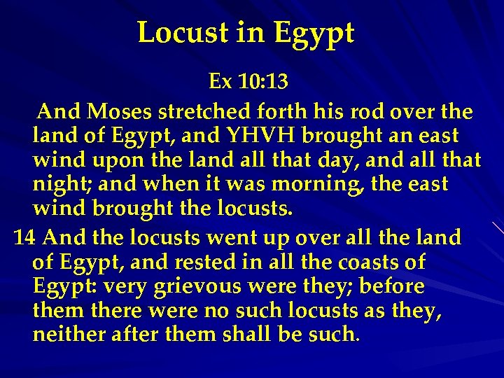 Locust in Egypt Ex 10: 13 And Moses stretched forth his rod over the