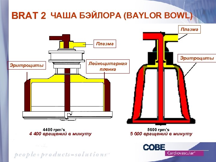 BRAT 2 ЧАША БЭЙЛОРА (BAYLOR BOWL) Плазма Эритроциты 4400 rpm’s Лейкоцитарная пленка 4 400