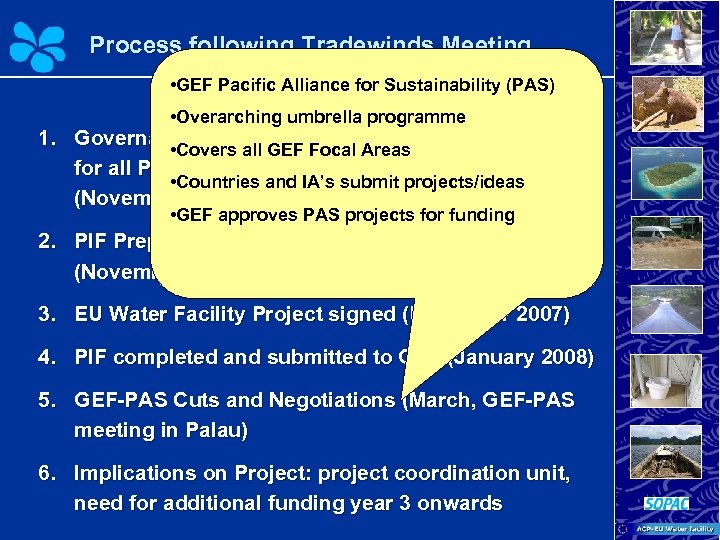 Process following Tradewinds Meeting • GEF Pacific Alliance for Sustainability (PAS) • Overarching umbrella