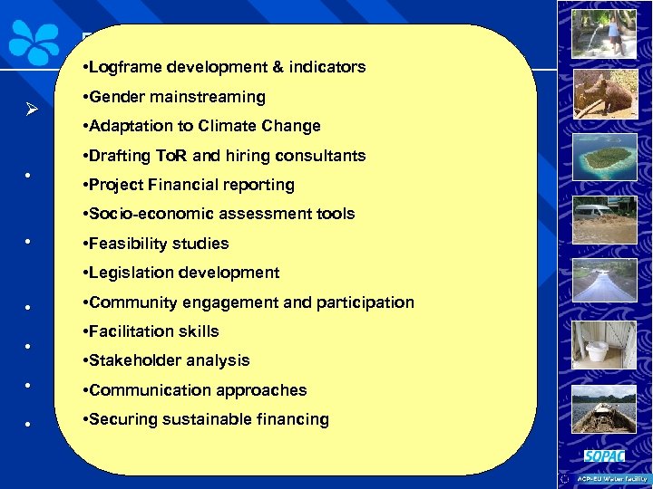 Project Linkages and Next Steps • Logframe development & indicators • Gender mainstreaming Ø