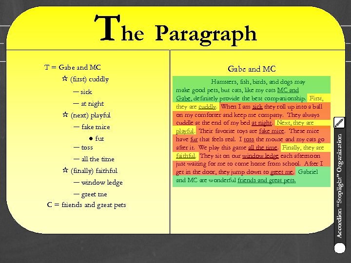 The Paragraph (first) cuddly ─ sick ─ at night (next) playful ─ fake mice