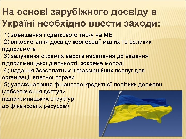 На основі зарубіжного досвіду в Україні необхідно ввести заходи: 1) зменшення податкового тиску на