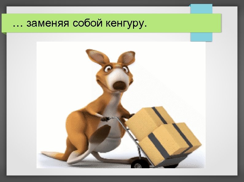 … заменяя собой кенгуру. 