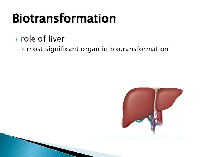 Biotransformation role of liver ◦ most significant organ in biotransformation 