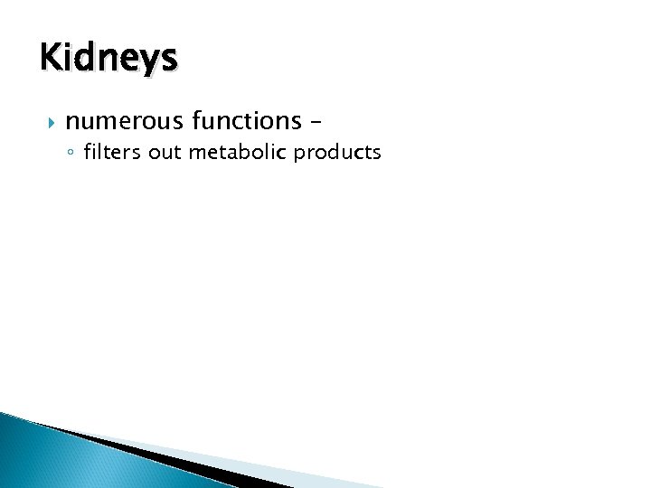 Kidneys numerous functions – ◦ filters out metabolic products 