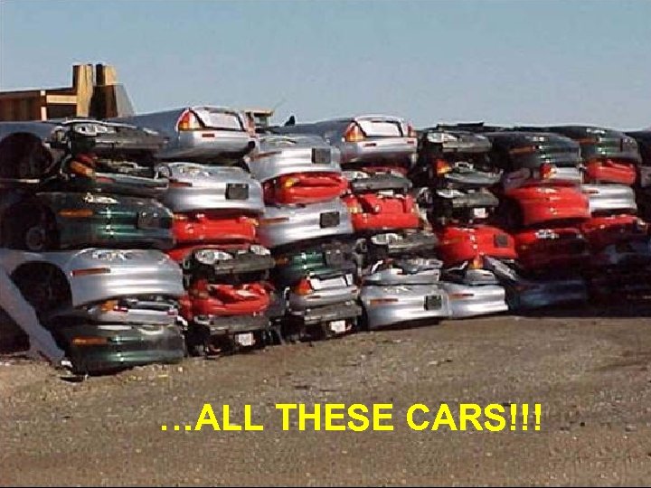 …ALL THESE CARS!!! 