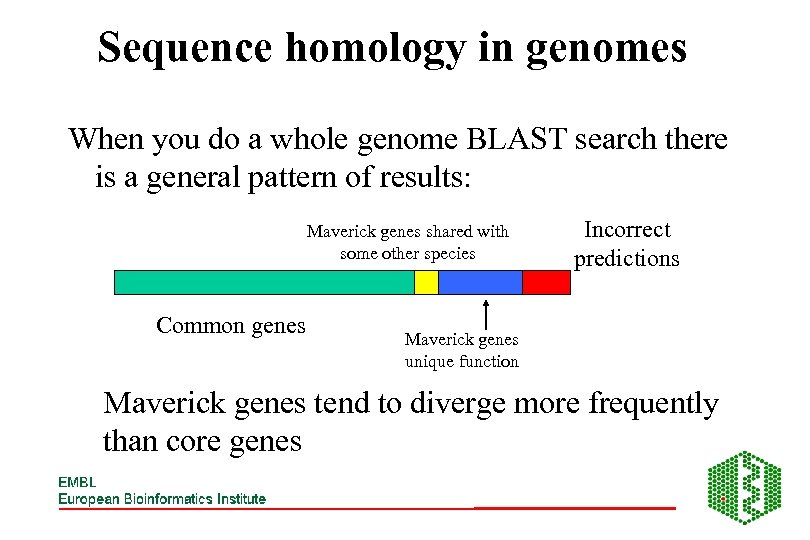 Sequence homology in genomes When you do a whole genome BLAST search there is