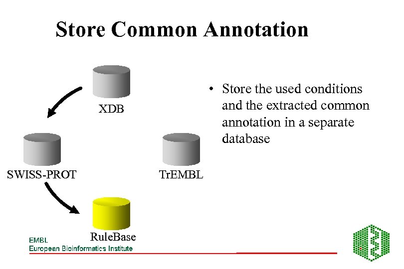 Store Common Annotation • Store the used conditions and the extracted common annotation in
