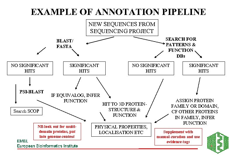 EXAMPLE OF ANNOTATION PIPELINE NEW SEQUENCES FROM SEQUENCING PROJECT SEARCH FOR PATTERNS & FUNCTION