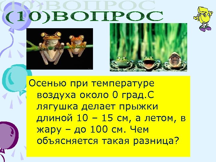 Осенью при температуре воздуха около 0 град. С лягушка делает прыжки длиной 10 –