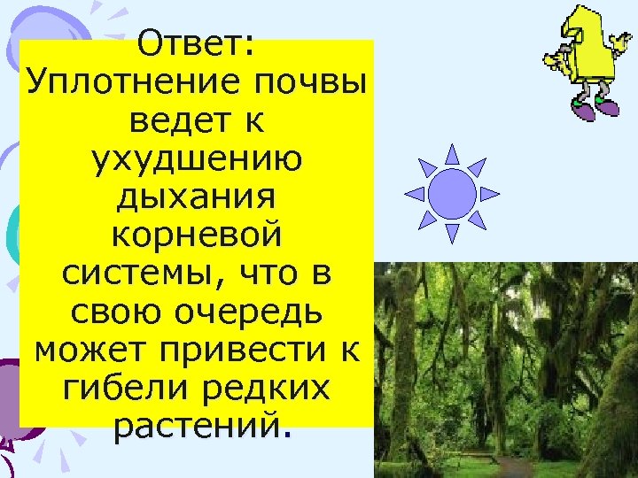 Ответ: Уплотнение почвы ведет к ухудшению дыхания корневой системы, что в свою очередь может