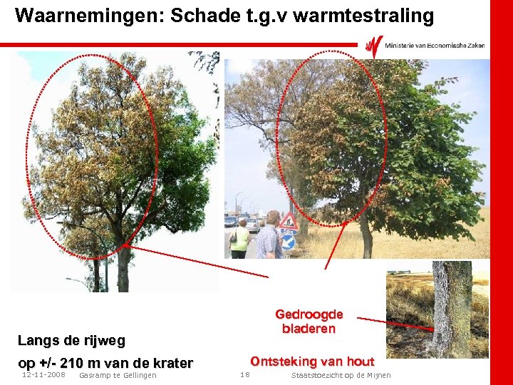 Waarnemingen: Schade t. g. v warmtestraling Gedroogde bladeren Langs de rijweg op +/- 210