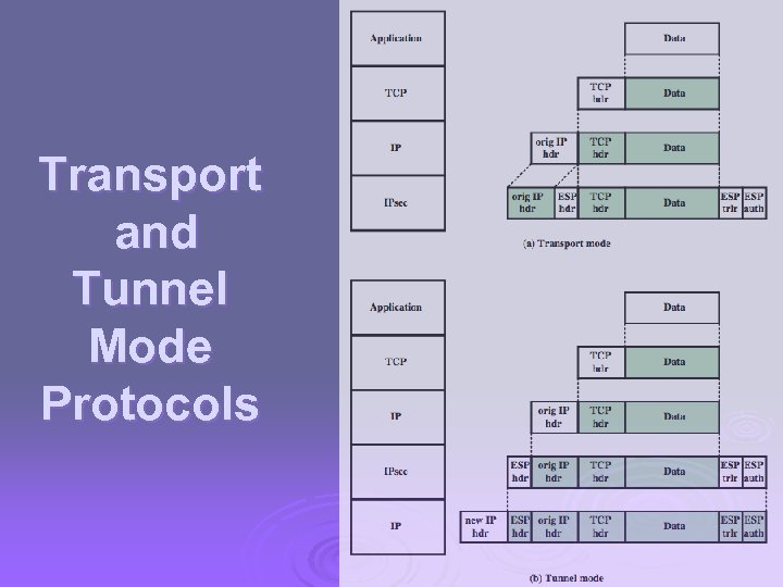 Transport and Tunnel Mode Protocols 