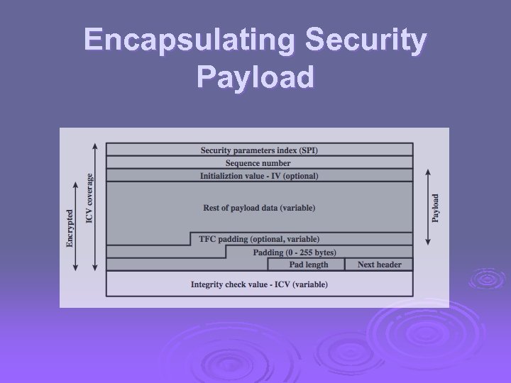 Encapsulating Security Payload 