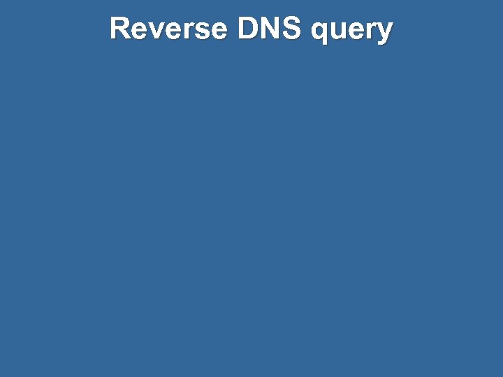 Reverse DNS query 