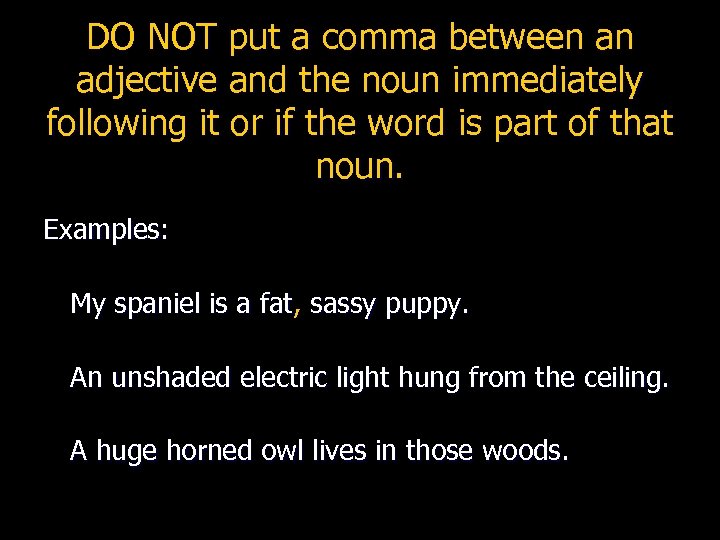 DO NOT put a comma between an adjective and the noun immediately following it