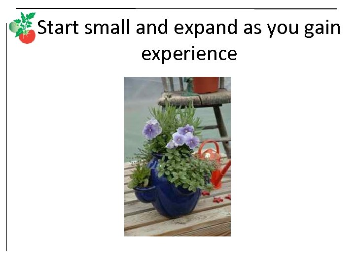 Start small and expand as you gain experience 