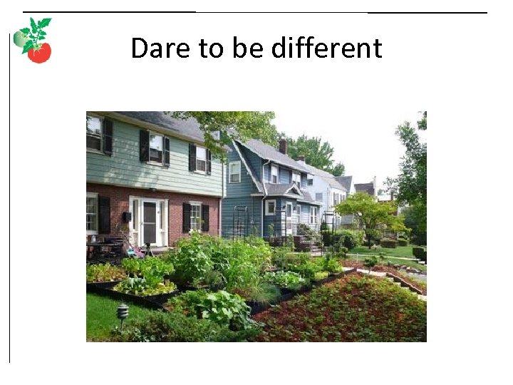 Dare to be different 