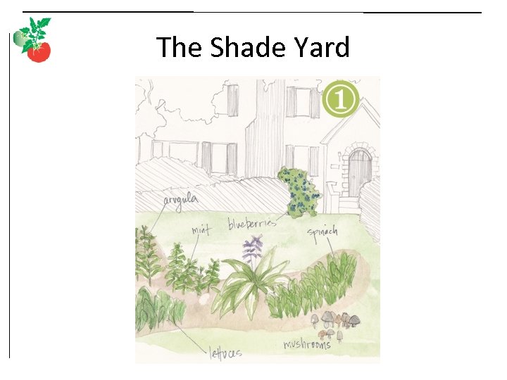 The Shade Yard 