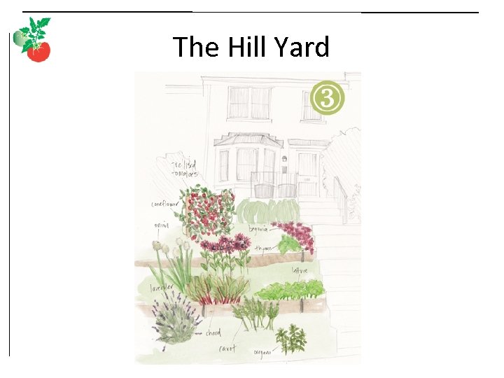 The Hill Yard 