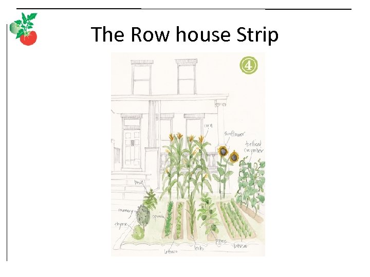 The Row house Strip 