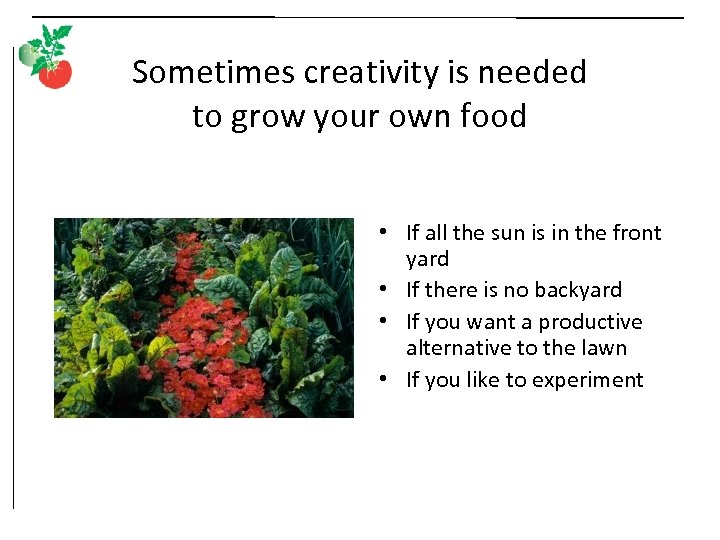 Sometimes creativity is needed to grow your own food • If all the sun