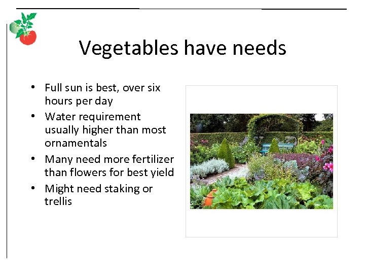 Vegetables have needs • Full sun is best, over six hours per day •