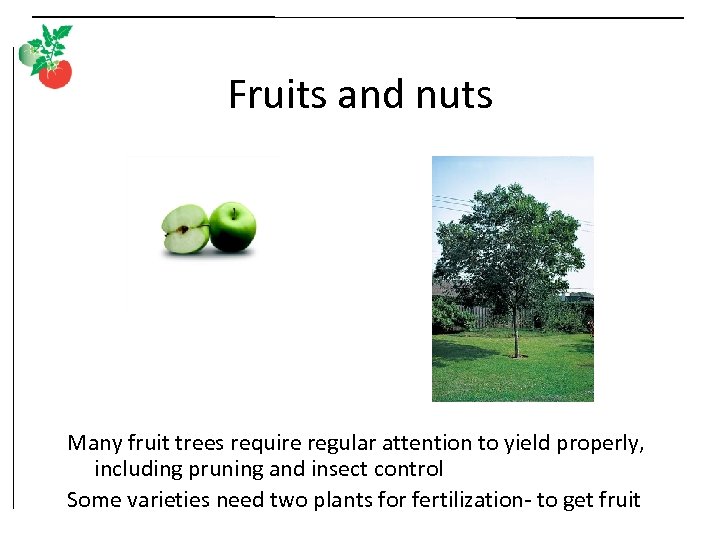 Fruits and nuts Many fruit trees require regular attention to yield properly, including pruning