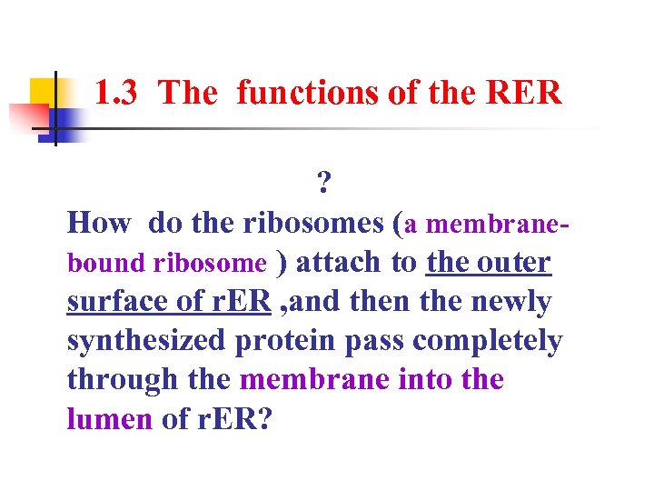 1. 3 The functions of the RER ? How do the ribosomes (a membranebound