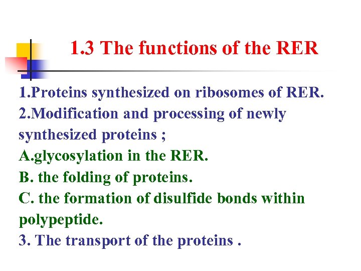 1. 3 The functions of the RER 1. Proteins synthesized on ribosomes of RER.