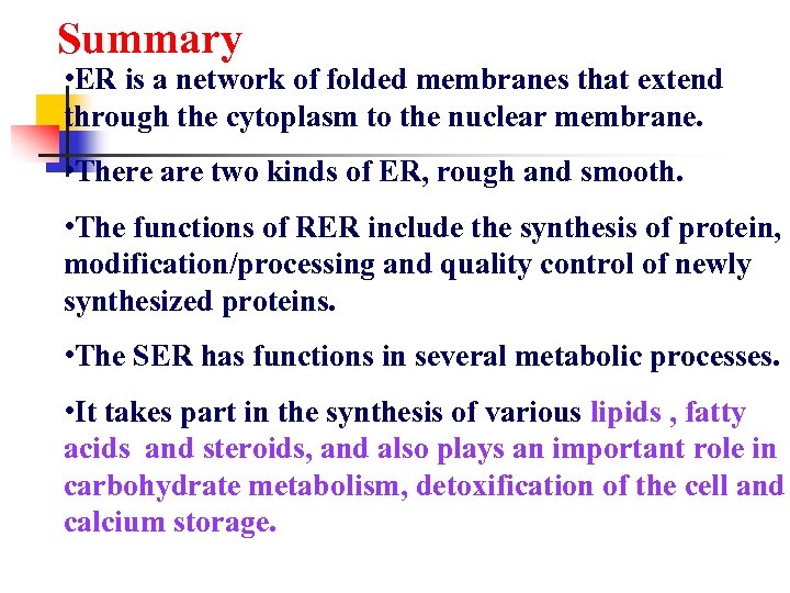 Summary • ER is a network of folded membranes that extend through the cytoplasm